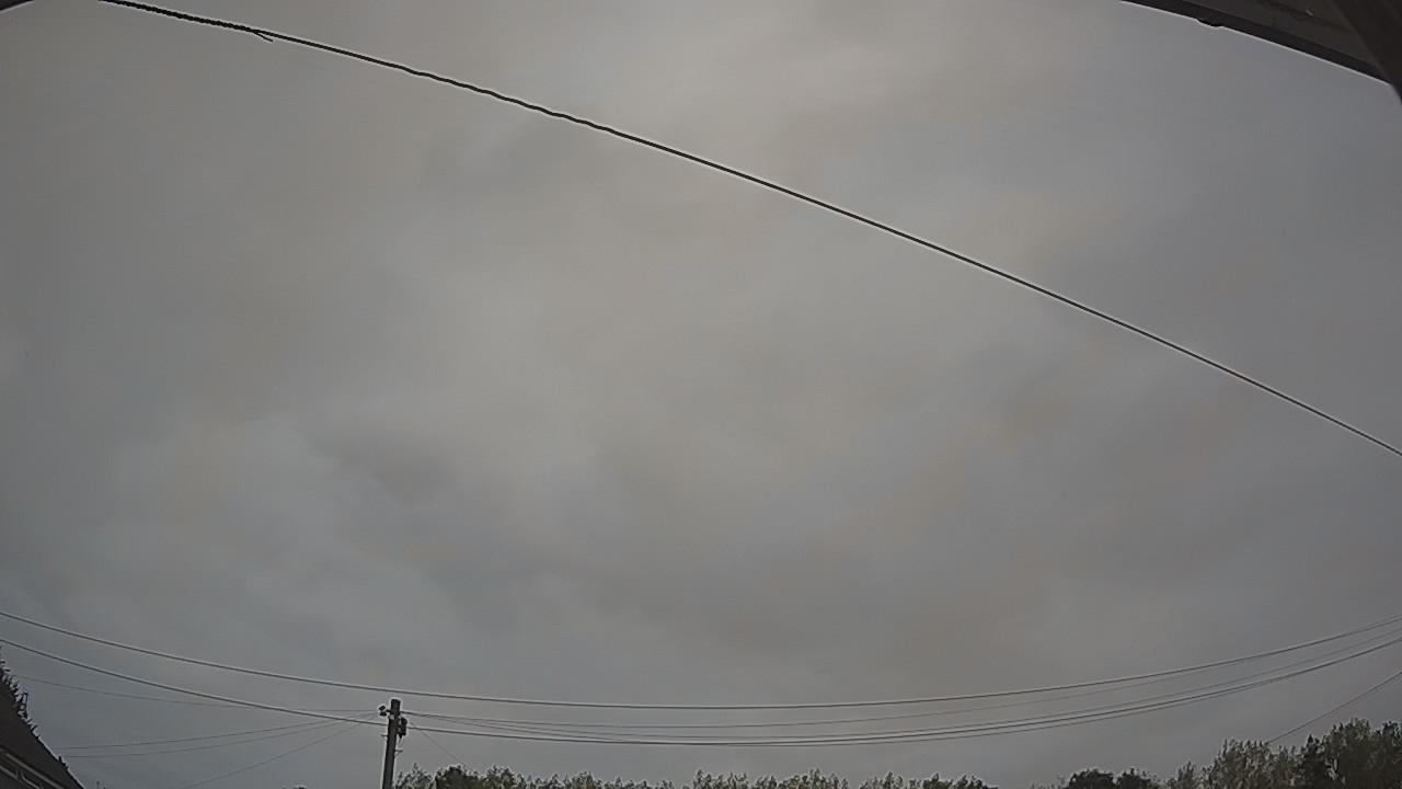 20260815_061723_cam2.jpg