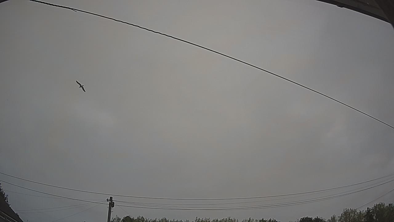 20260815_062559_cam2.jpg