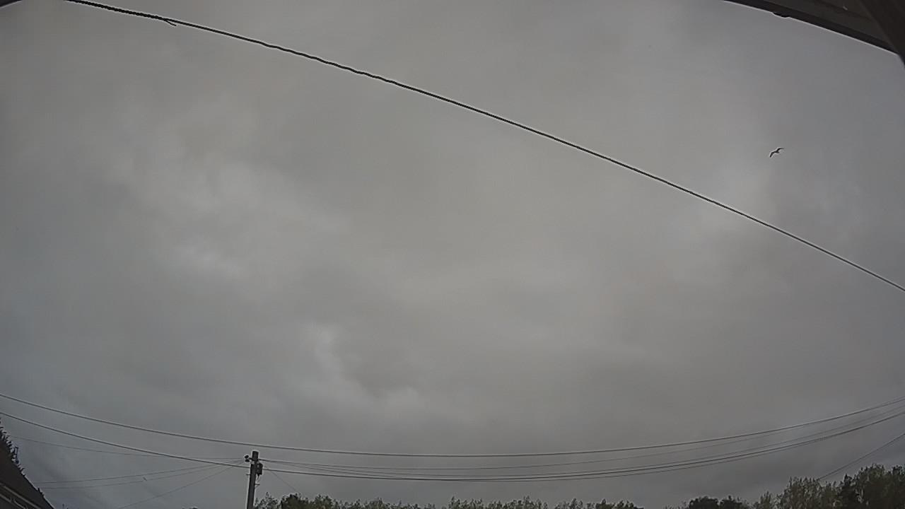 20260815_074029_cam2.jpg