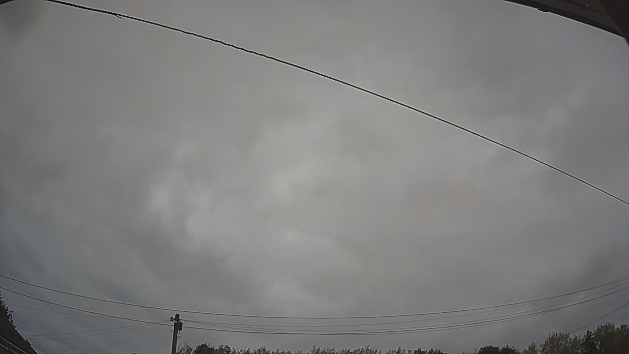 20260815_074849_cam2.jpg