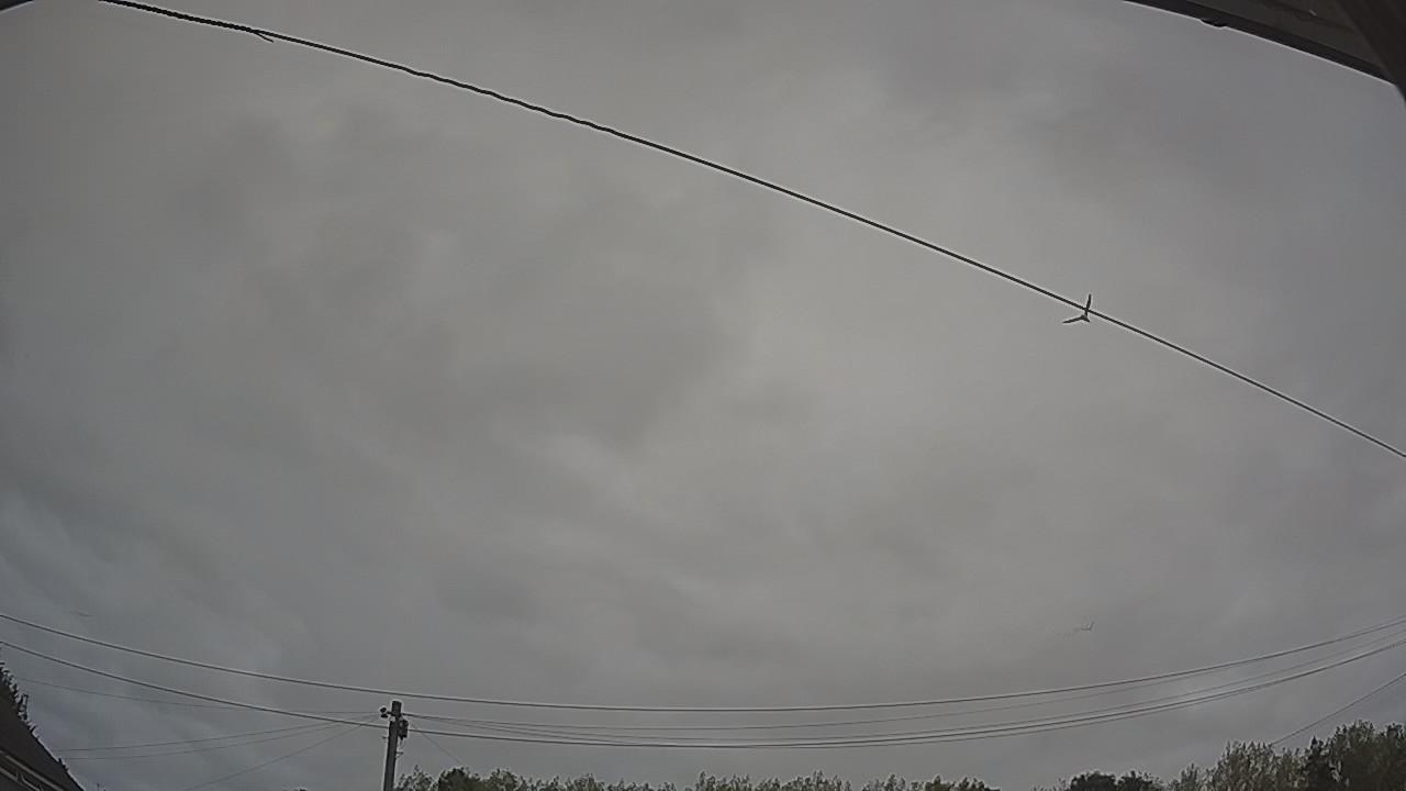 20260815_075708_cam2.jpg