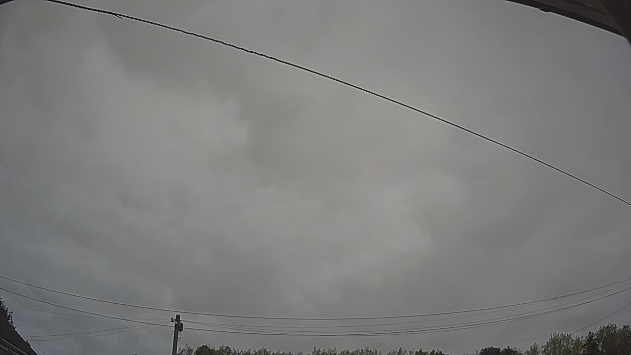 20260815_080117_cam2.jpg