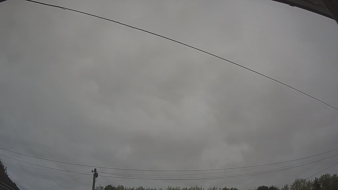 20260815_080527_cam2.jpg