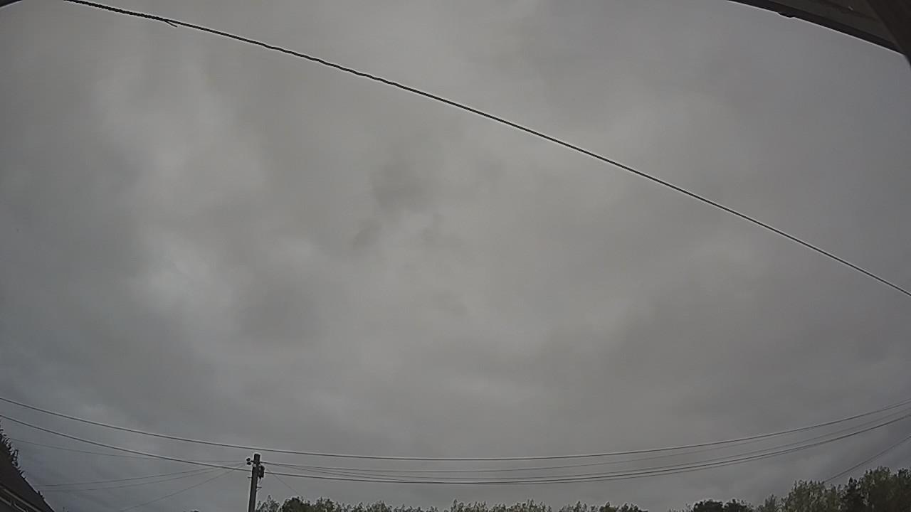 20260815_081345_cam2.jpg