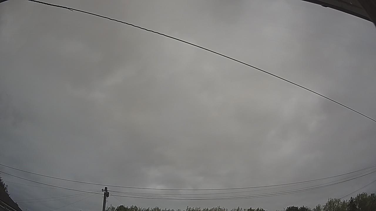 20260815_081754_cam2.jpg