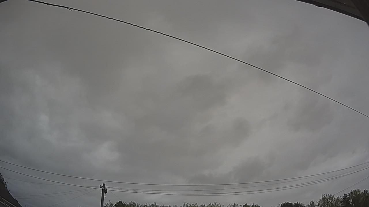 20260815_082612_cam2.jpg