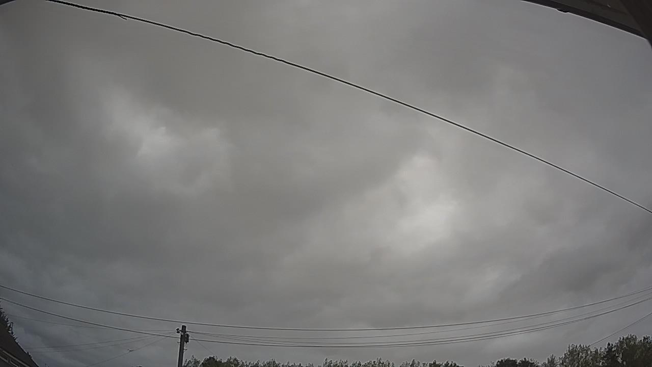 20260815_083012_cam2.jpg