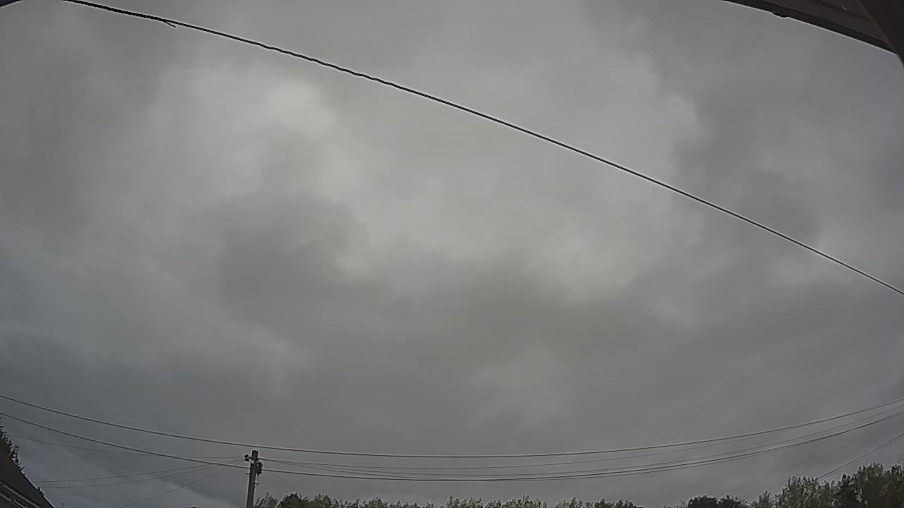 20260815_084212_cam2.jpg