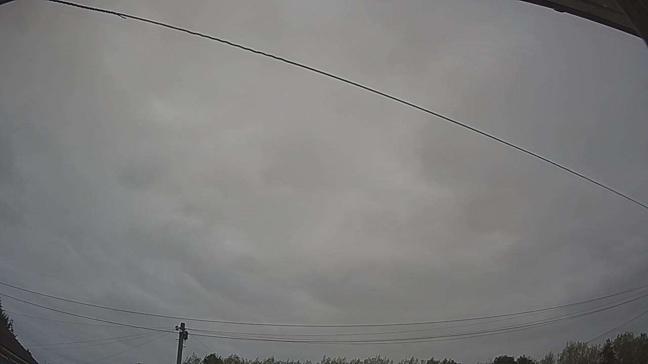 20260815_090144_cam2.jpg