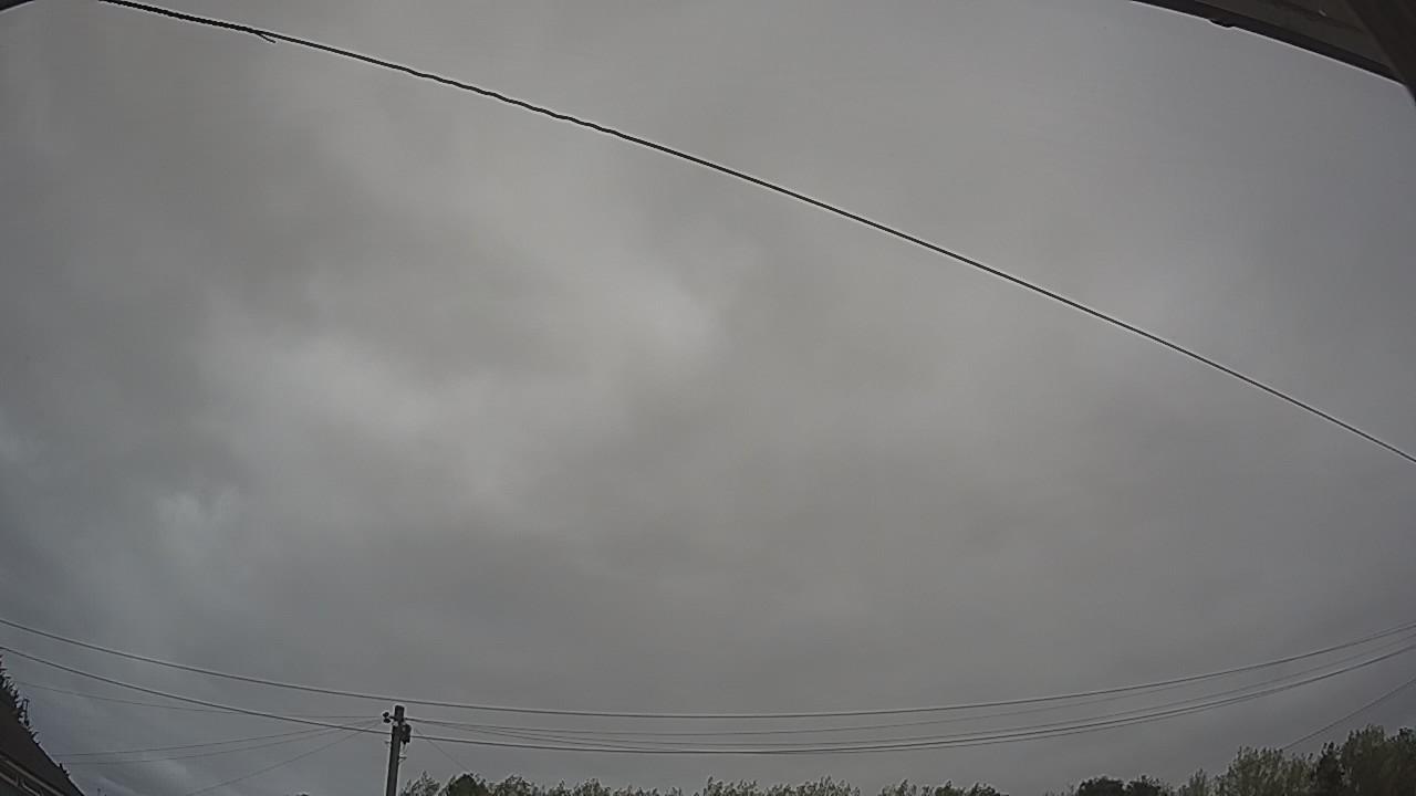20260815_093737_cam2.jpg