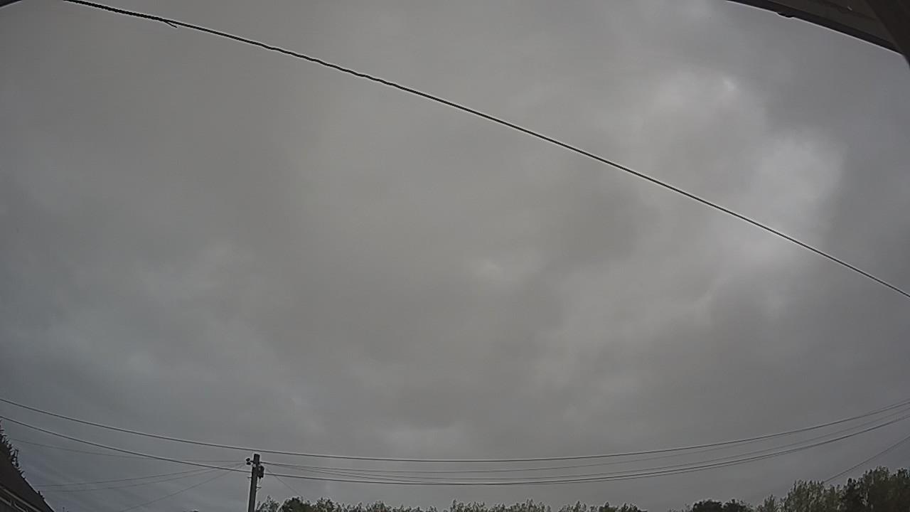 20260815_094501_cam2.jpg