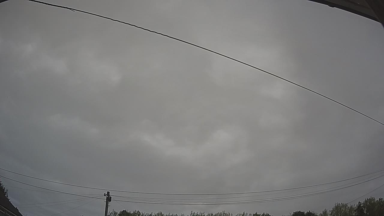 20260815_094842_cam2.jpg
