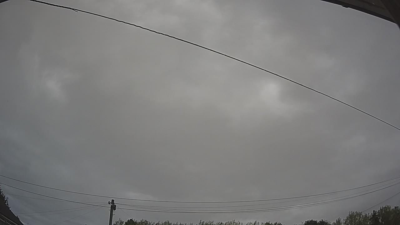 20260815_095224_cam2.jpg