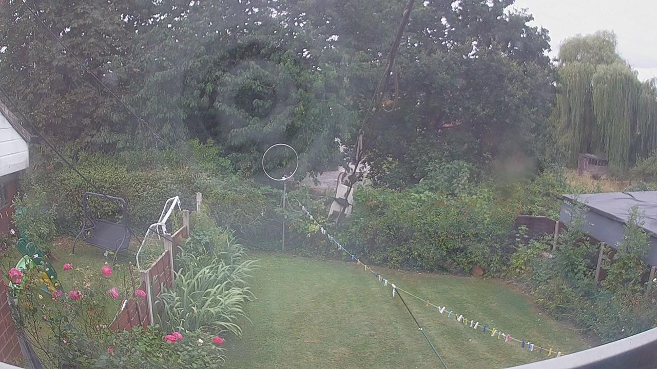 20260815_095605_cam1.jpg