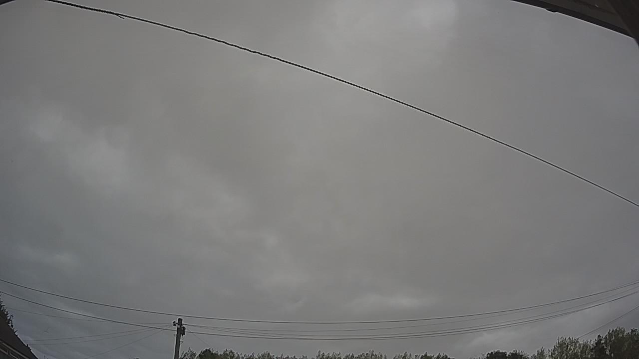 20260815_095606_cam2.jpg