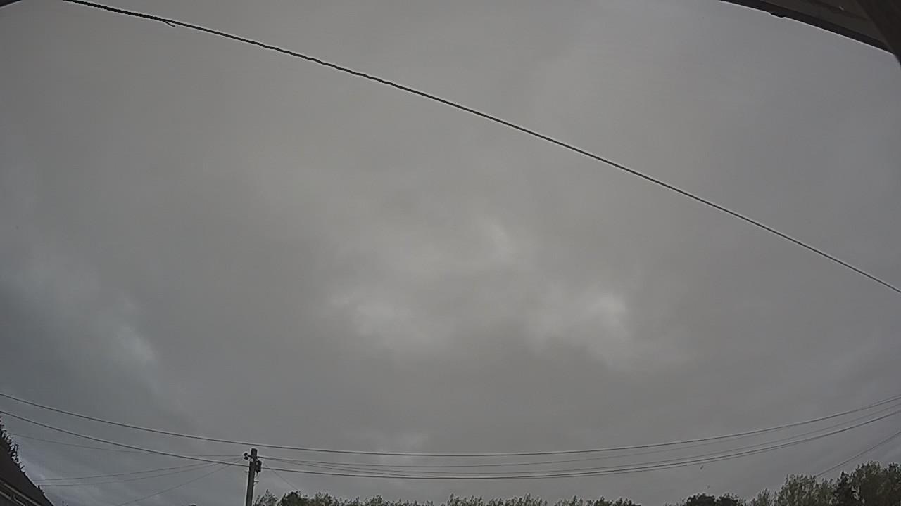 20260815_100348_cam2.jpg