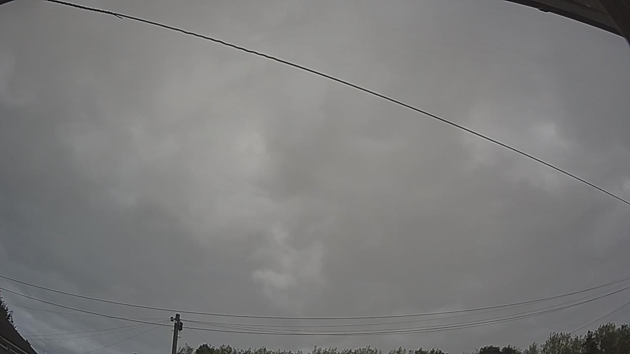 20260815_100741_cam2.jpg