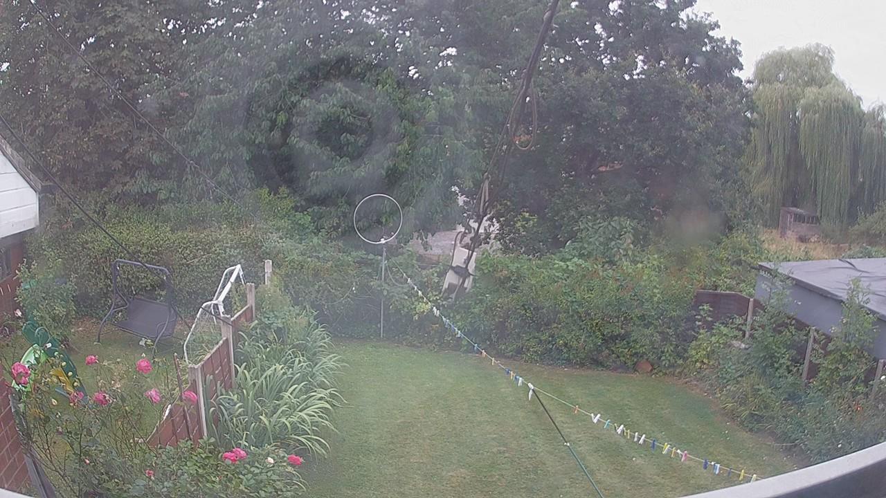 20260815_101131_cam1.jpg