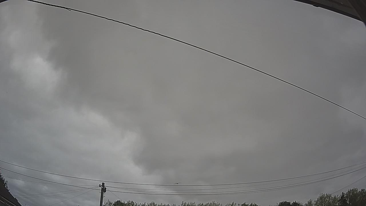 20260815_101523_cam2.jpg