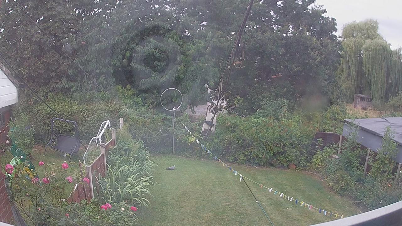 20260815_103037_cam1.jpg