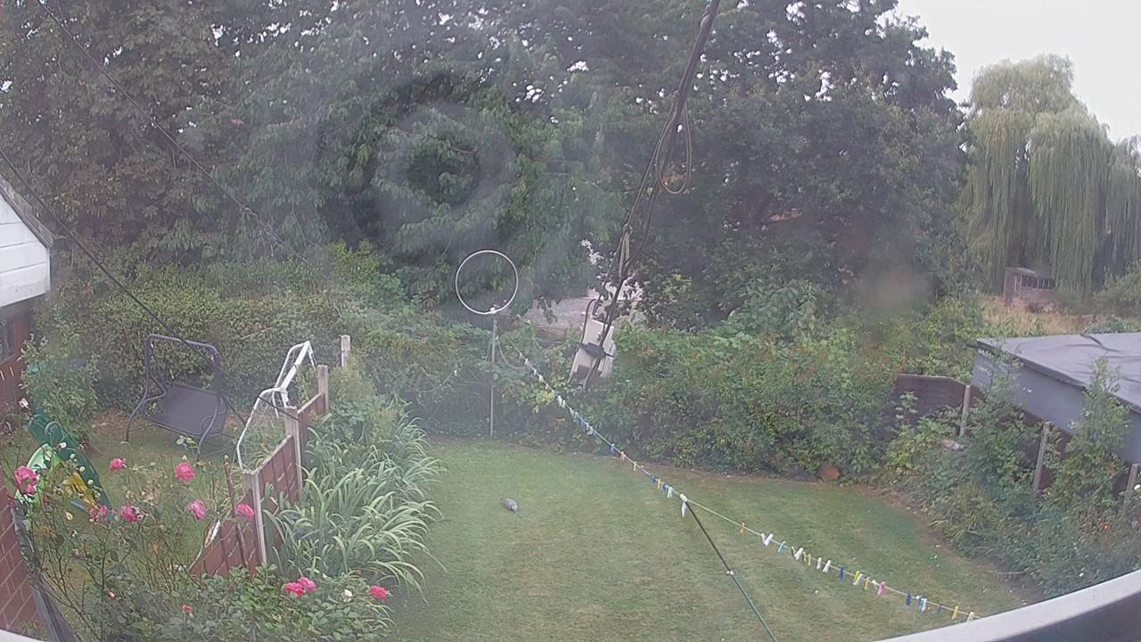 20260815_104144_cam1.jpg