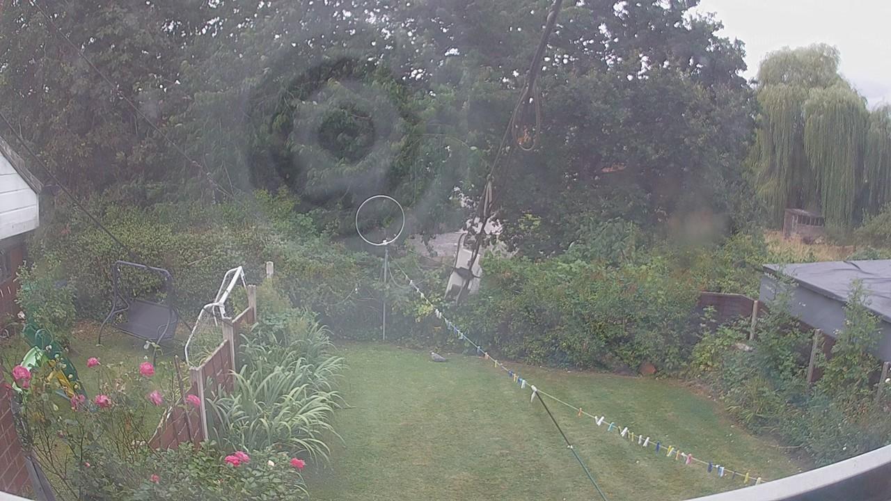 20260815_110005_cam1.jpg