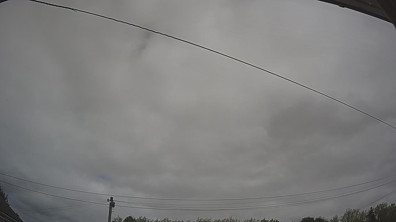 20260815_110006_cam2.jpg
