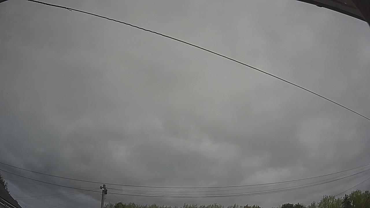 20260815_110711_cam2.jpg