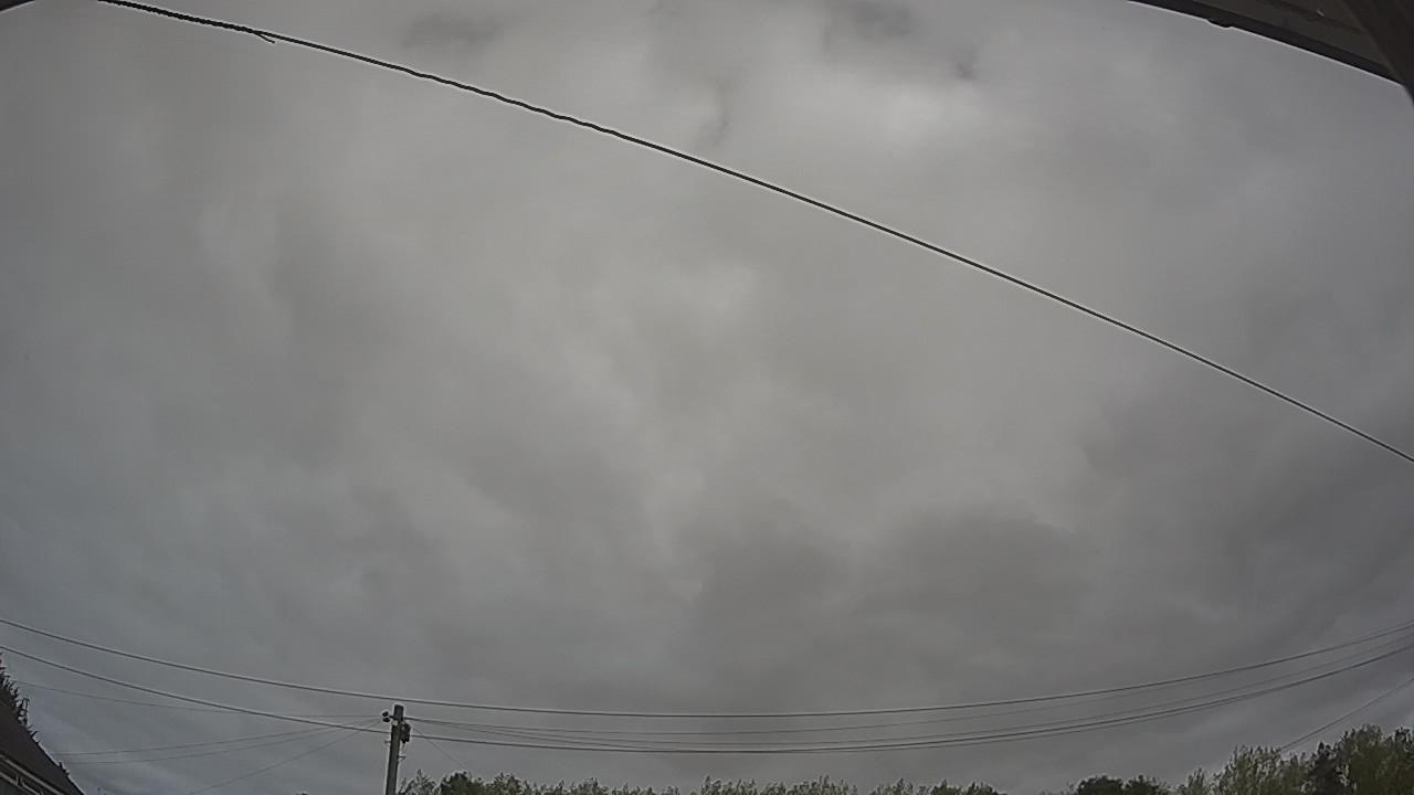 20260815_111750_cam2.jpg