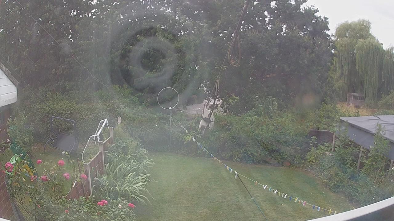 20260815_123519_cam1.jpg