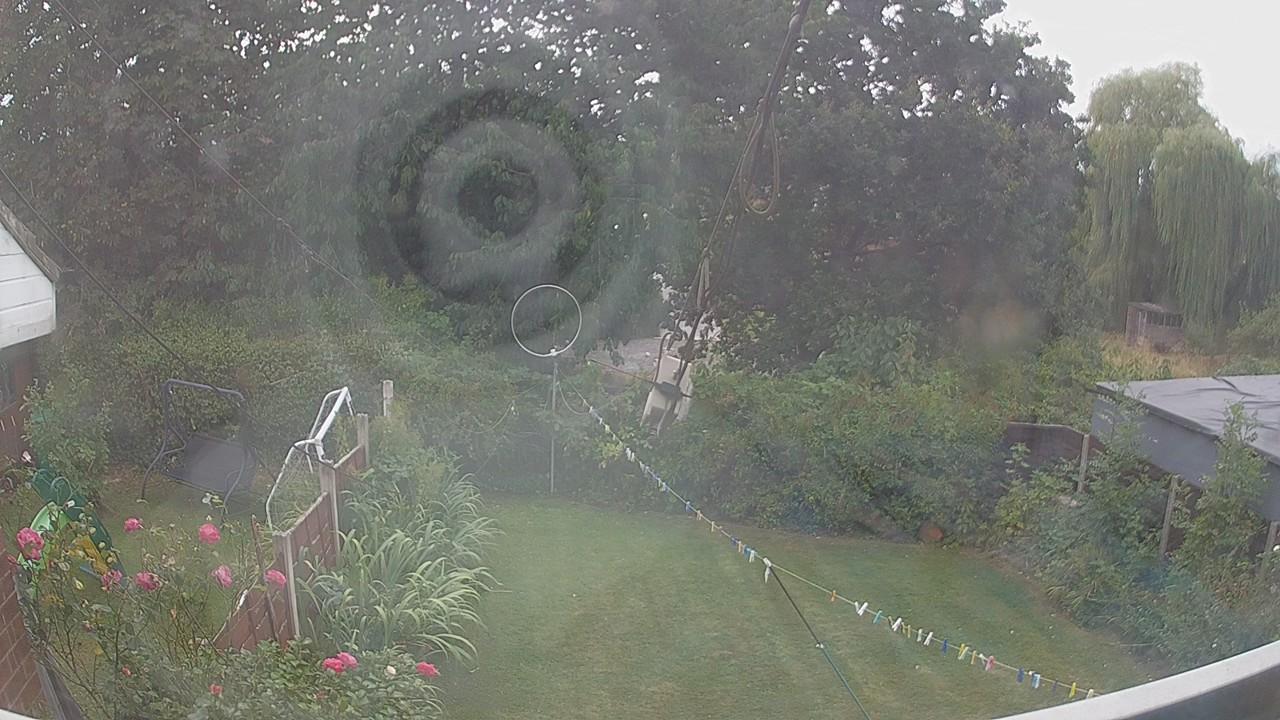 20260815_124654_cam1.jpg
