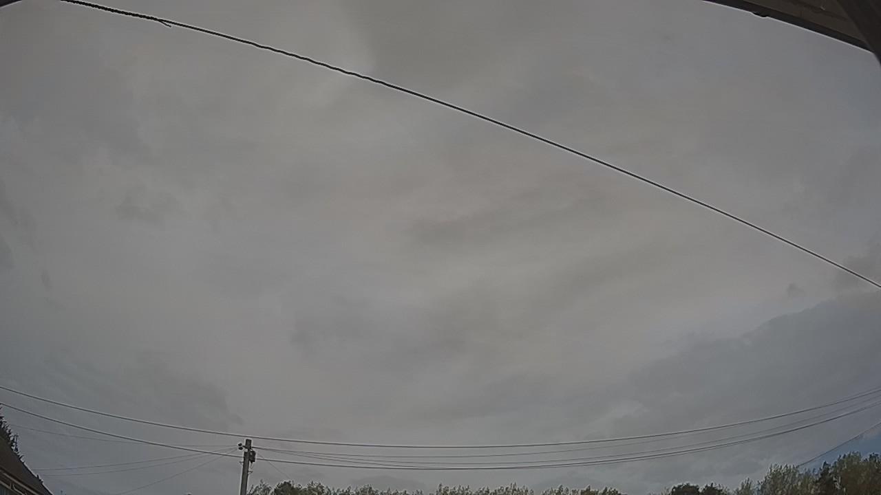 20260815_125046_cam2.jpg