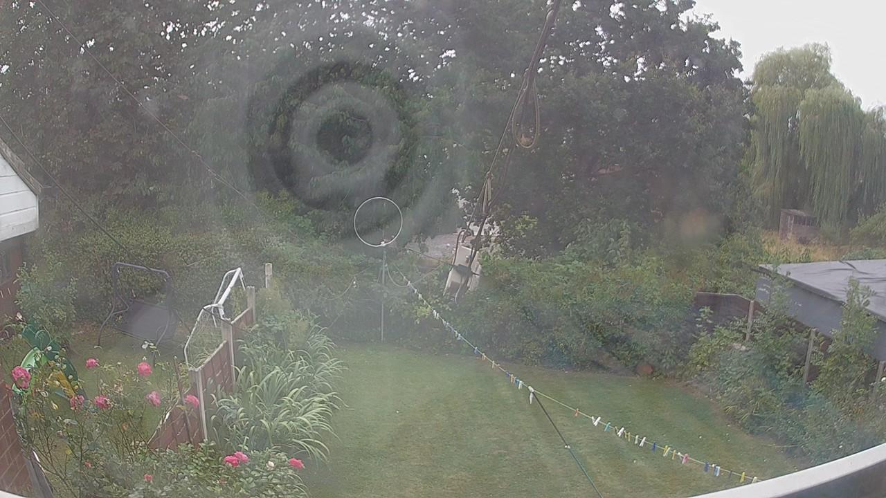 20260815_125436_cam1.jpg