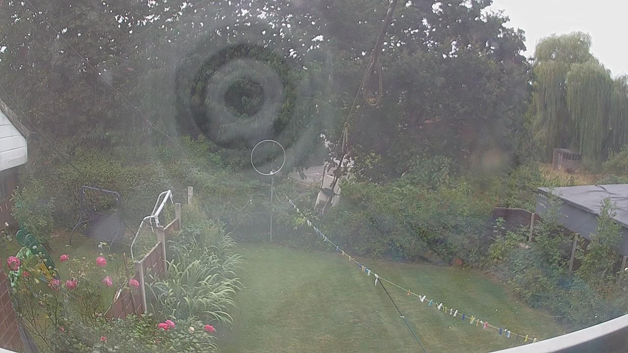 20260815_130200_cam1.jpg