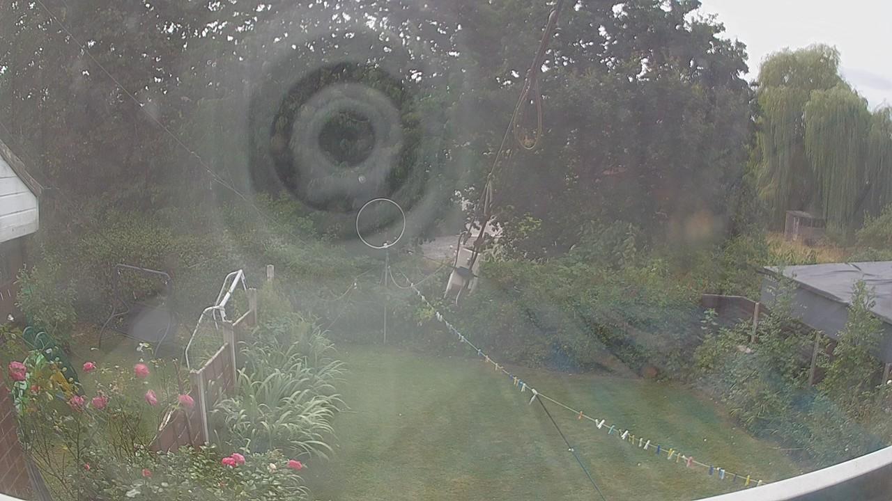 20260815_130542_cam1.jpg