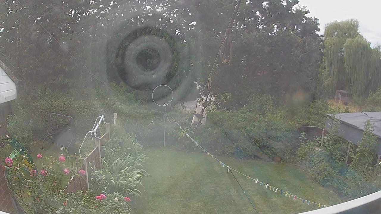 20260815_130924_cam1.jpg