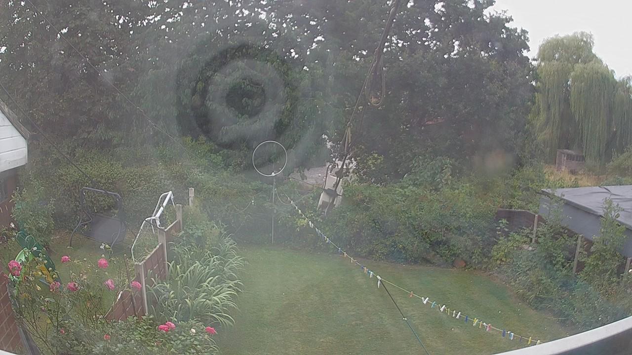 20260815_131306_cam1.jpg