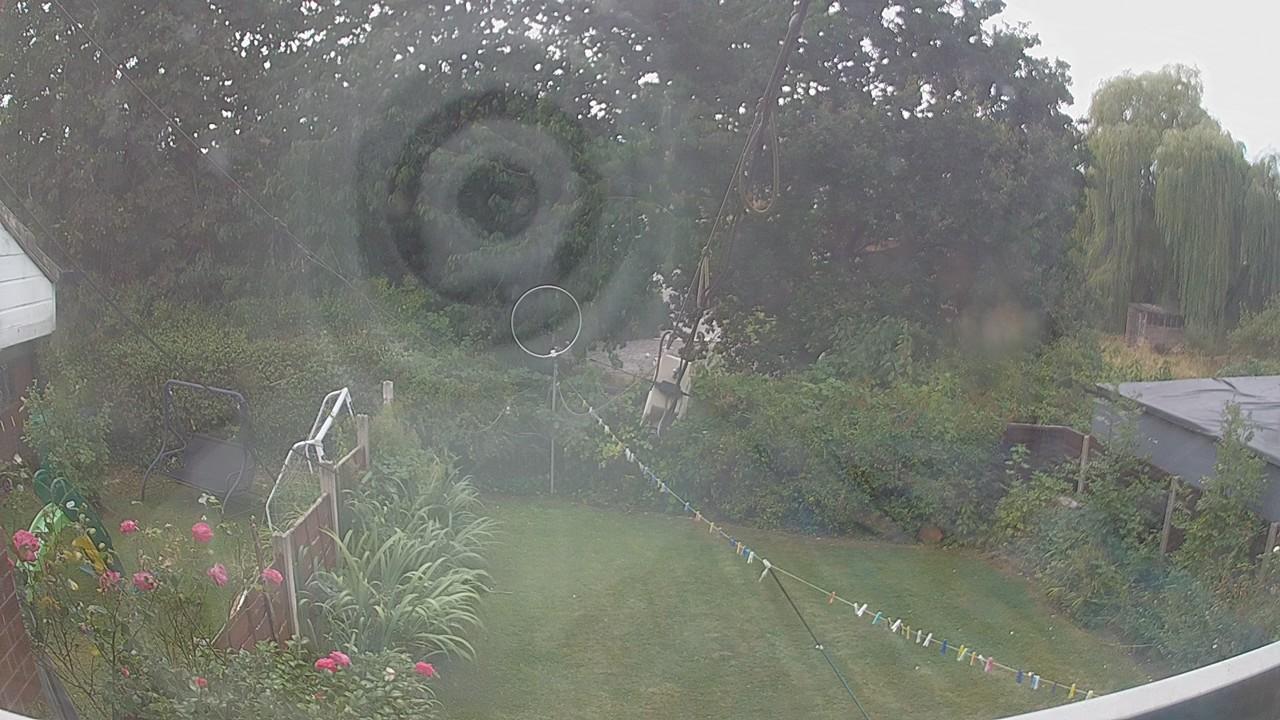 20260815_131648_cam1.jpg