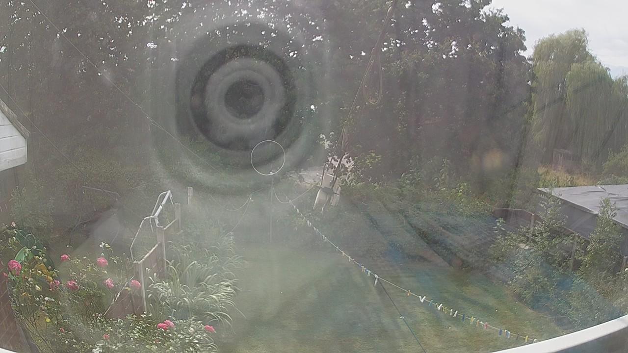 20260815_133155_cam1.jpg