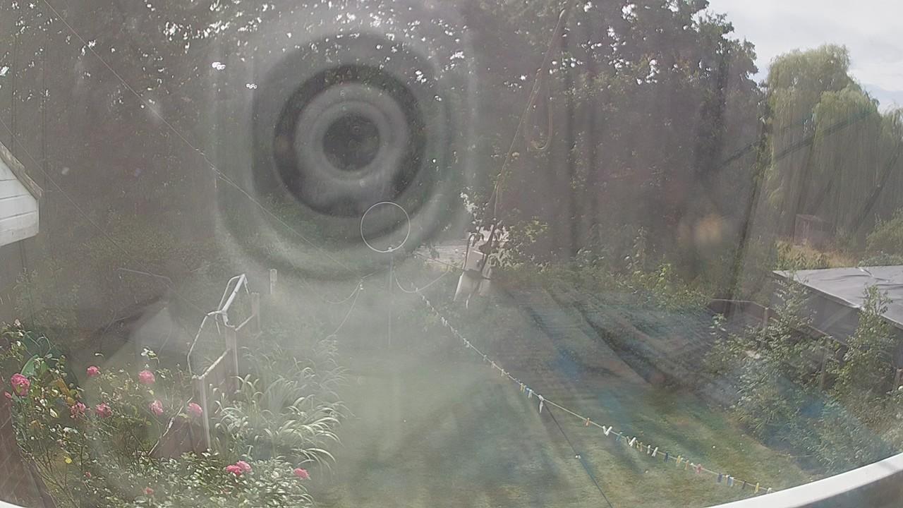 20260815_133547_cam1.jpg