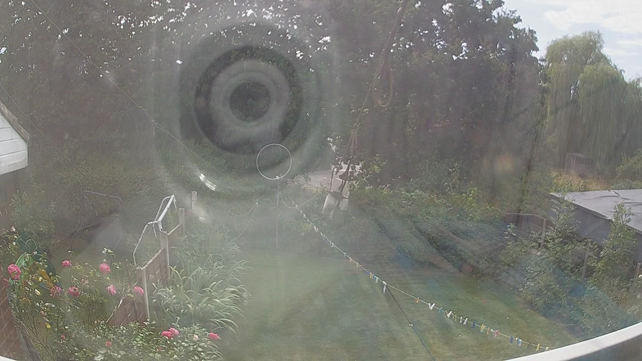 20260815_135112_cam1.jpg