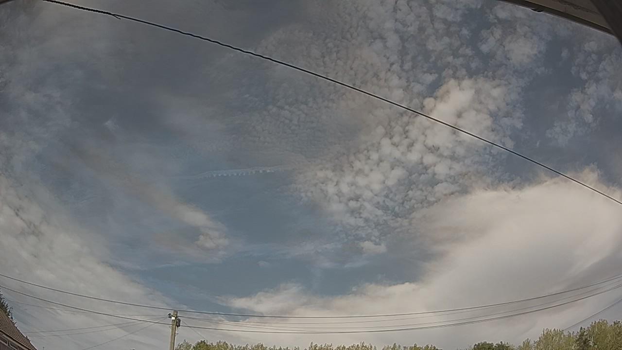 20260815_142200_cam2.jpg