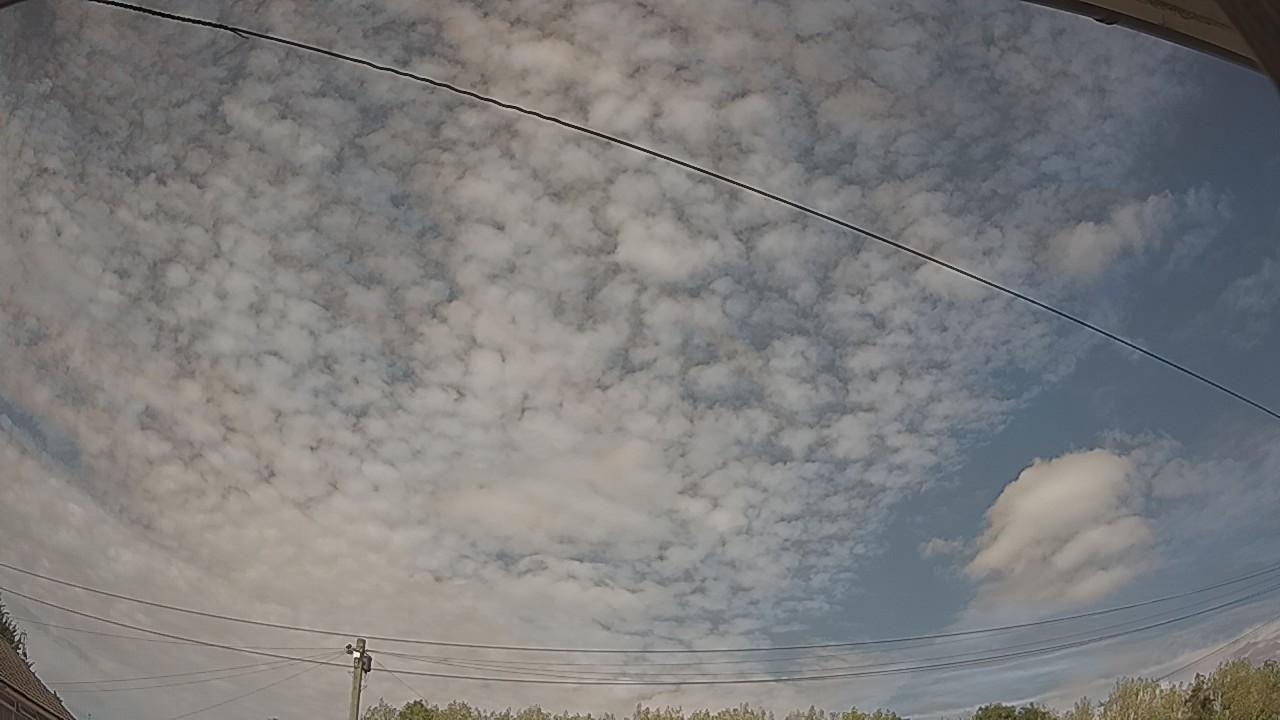 20260815_144801_cam2.jpg