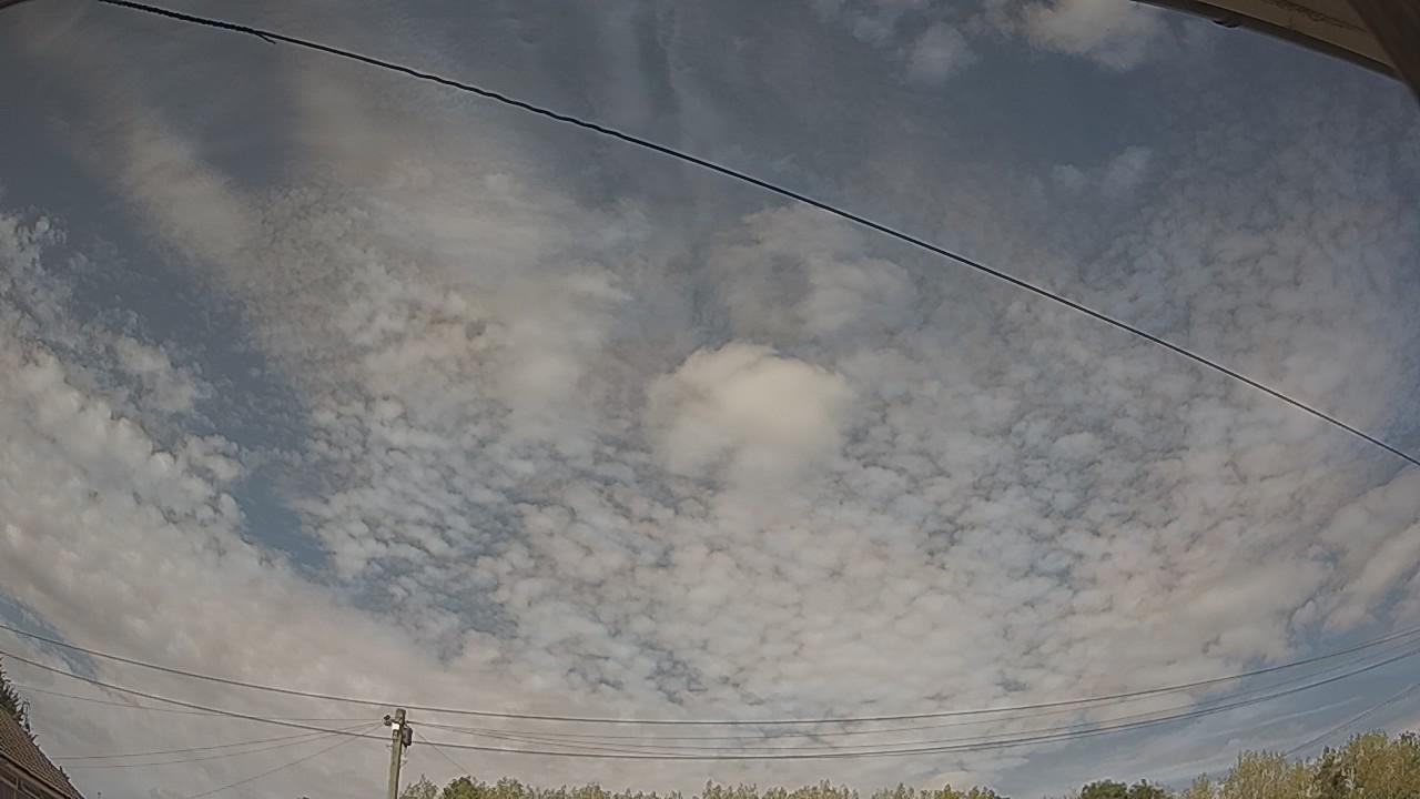 20260815_145524_cam2.jpg