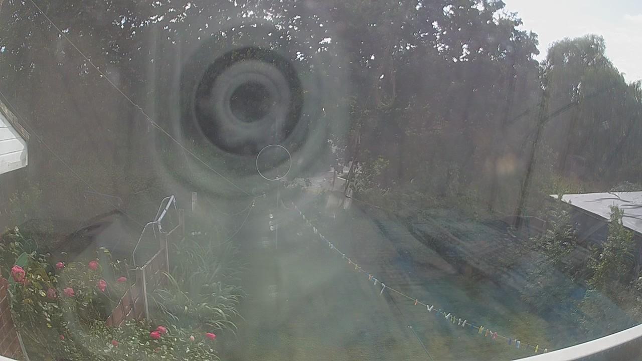 20260815_150536_cam1.jpg
