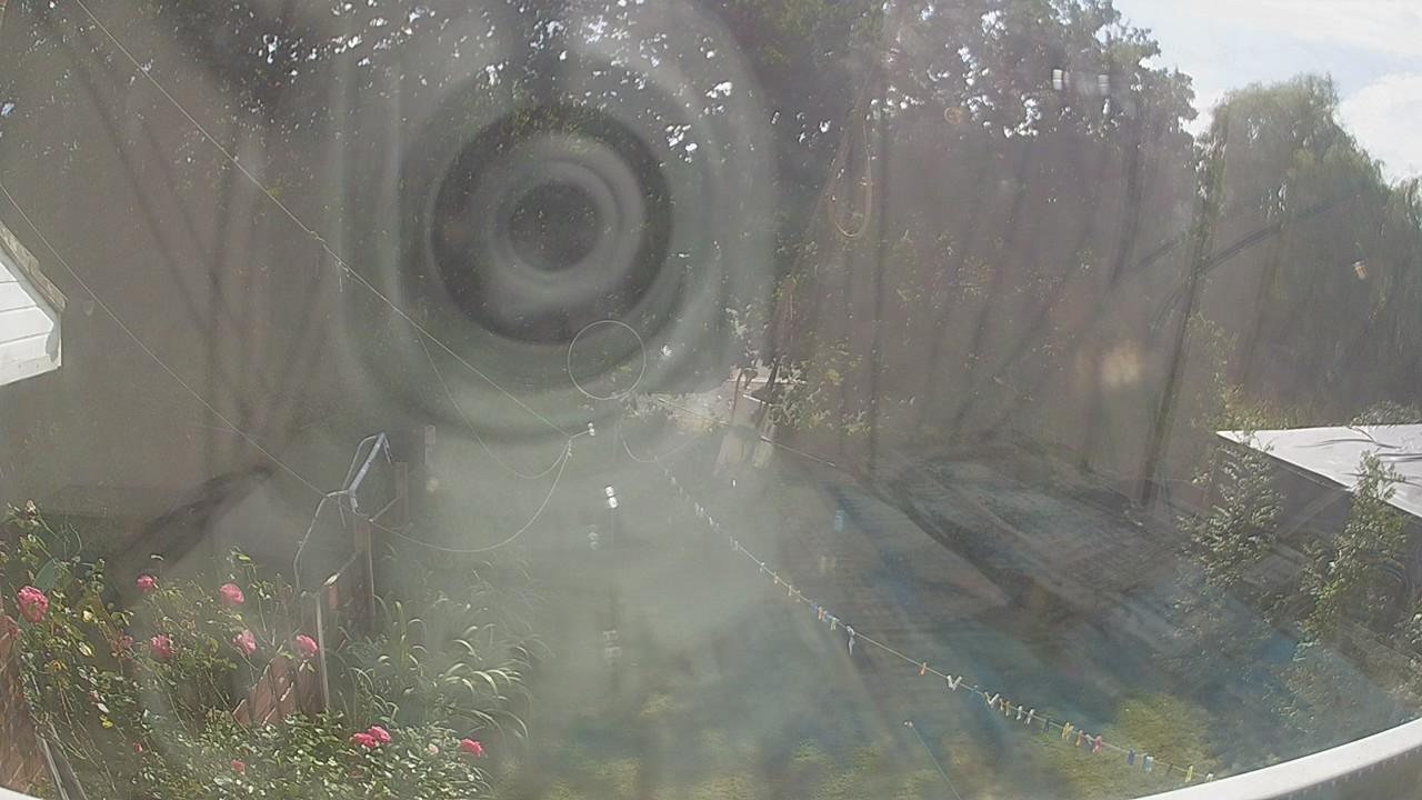 20260815_151226_cam1.jpg