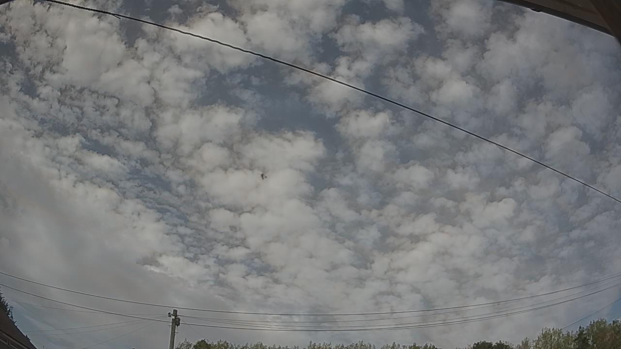 20260815_155206_cam2.jpg