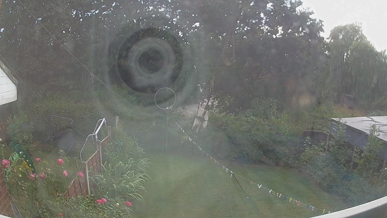 20260815_155548_cam1.jpg