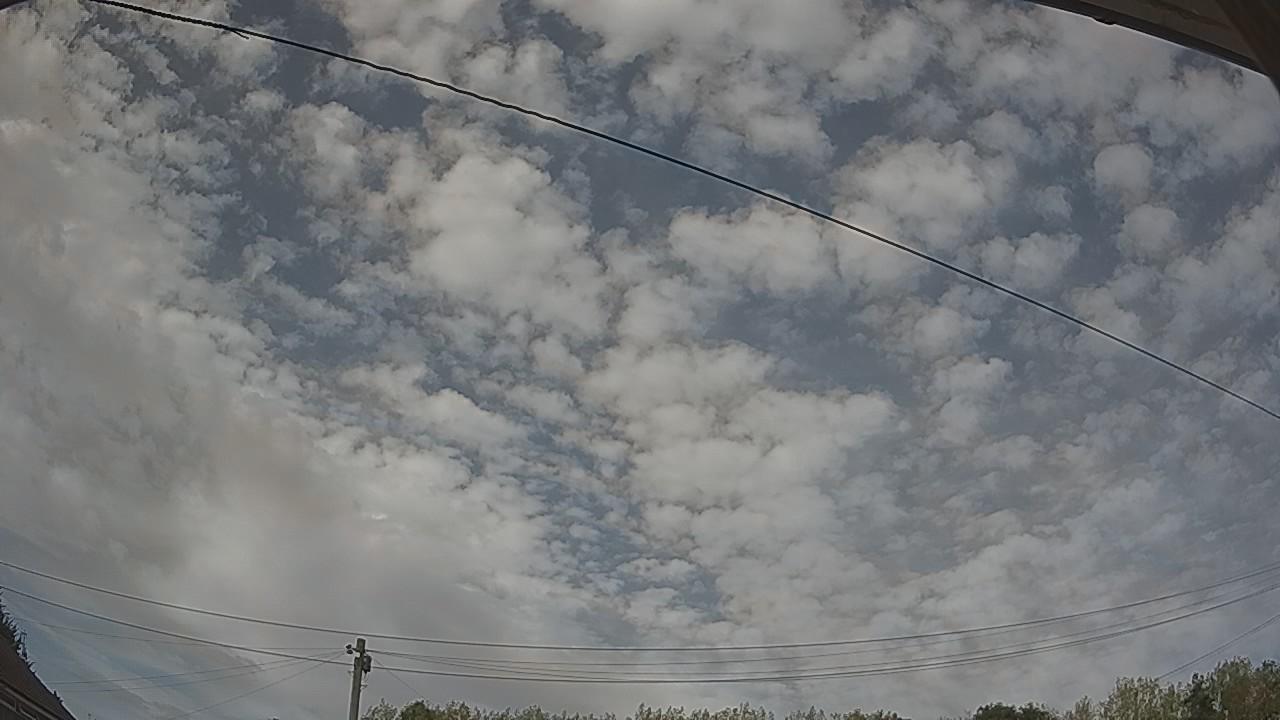20260815_155549_cam2.jpg