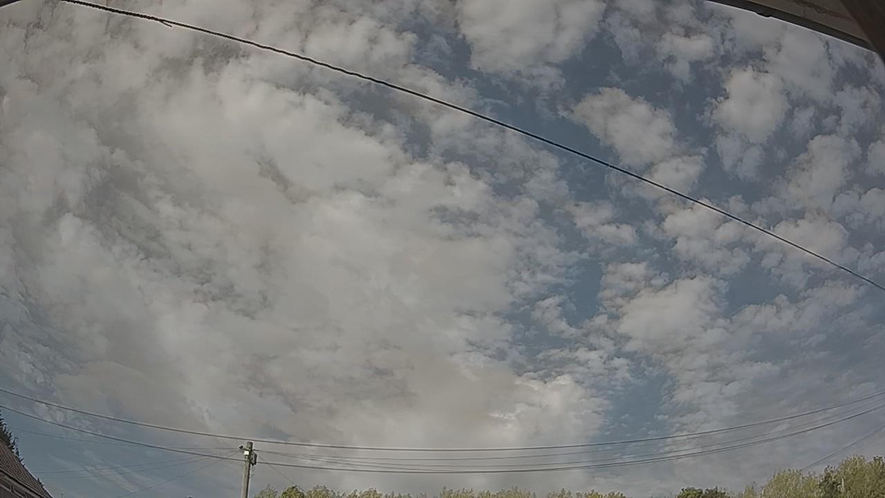 20260815_160331_cam2.jpg